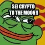 SEI Crypto Network's Native Token, SEI, Recently Hit a New All-Time High SEI Crypto Network's Native Token, SEI, Recently Hit a New All-Time High