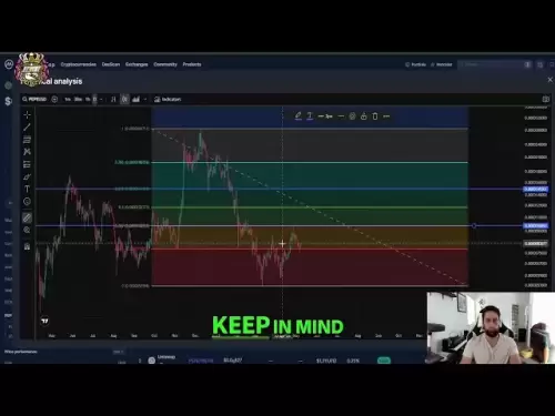 Pepe Coin：它会达到历史新高吗？