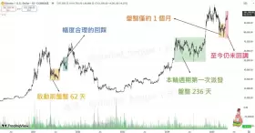 貝格先生🐢