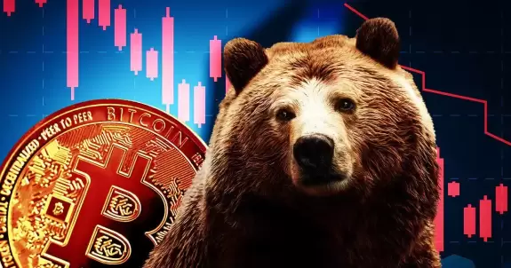 Crypto Rover