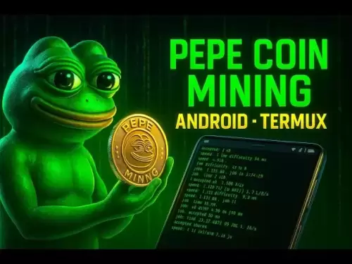 Terux Xmrig Setup Pepe Coin Mining auf Android