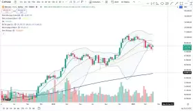 Cheds Trading