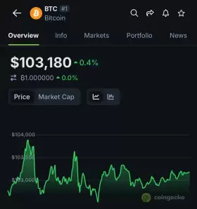 Playboycrypto