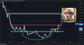 Trader Koala