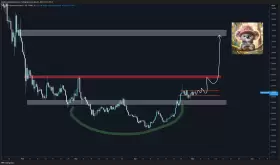 Trader Koala