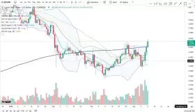 Cheds Trading