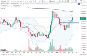 Cheds Trading