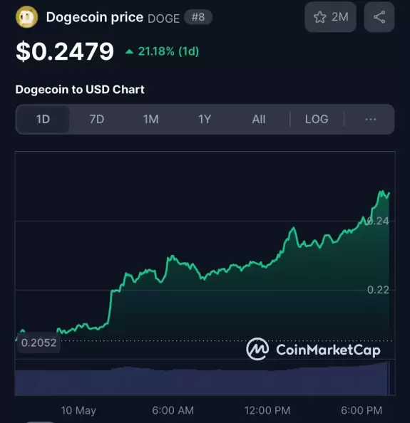 CEO