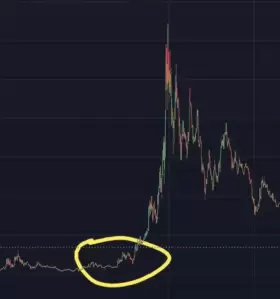 Crypto Beast 