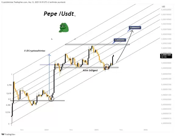 Cryptosahintas
