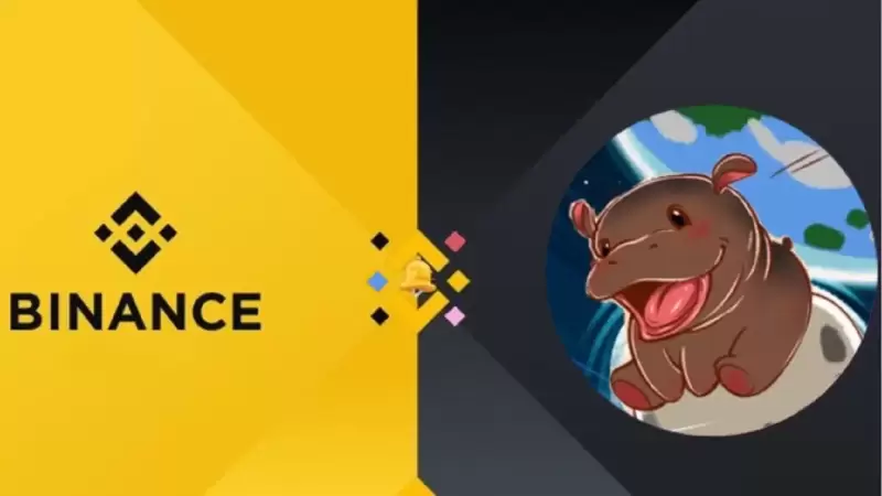 Moo Deng (MOODENG) Explodes by Over 567% After Binance Alpha Listing Moo Deng (MOODENG) Explodes by Over 567% After Binance Alpha Listing