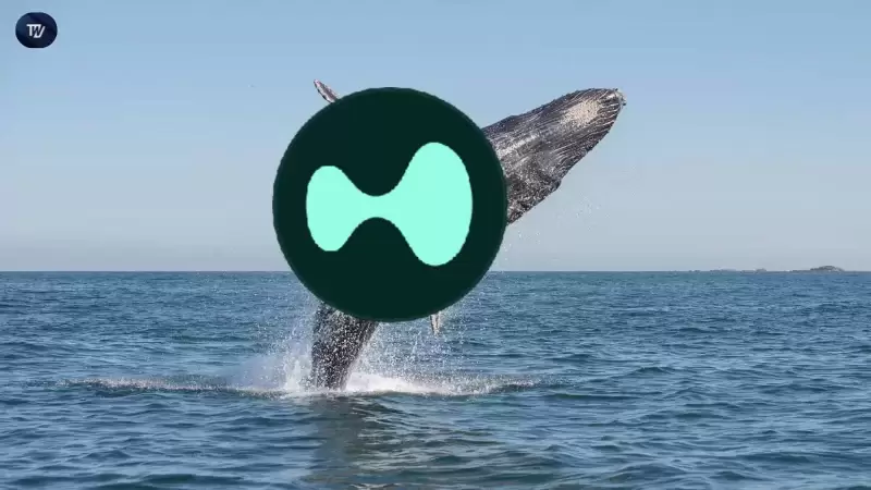 A Whale Has Shorted $25M of ETH, SOL, and BTC on HyperLiquid with 5X Leverage A Whale Has Shorted $25M of ETH, SOL, and BTC on HyperLiquid with 5X Leverage