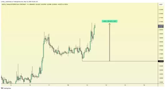 Crypto Chase