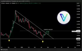 CryptoBusy