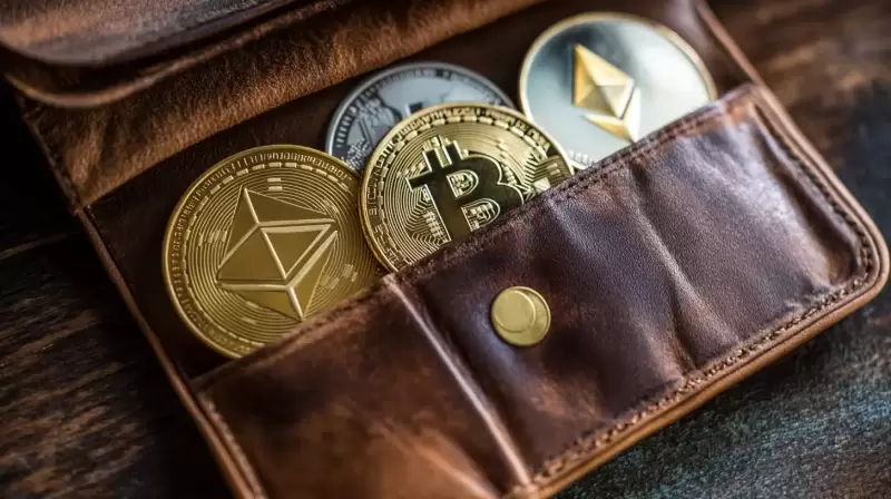 The Best Crypto Wallets for Beginners in 2025 – Reviewed The Best Crypto Wallets for Beginners in 2025 – Reviewed