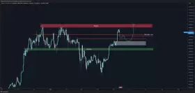Trader Koala