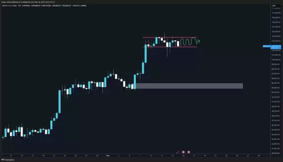 Trader Koala
