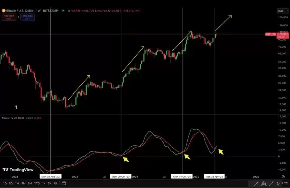 BitBull