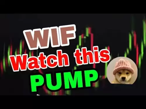 今天的WIF硬币新闻！dogwifhat wif价格预测