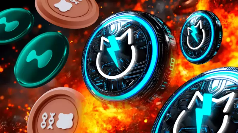 Dieses 2025, die besten neuen Krypto -Münzen Crypto -Wale, beeilen sich, so schnell wie möglich zu kaufen Dieses 2025, die besten neuen Krypto -Münzen Crypto -Wale, beeilen sich, so schnell wie möglich zu kaufen