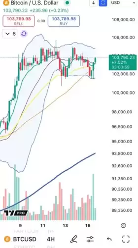 Cheds Trading