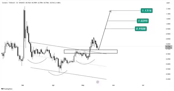Crypto Beast