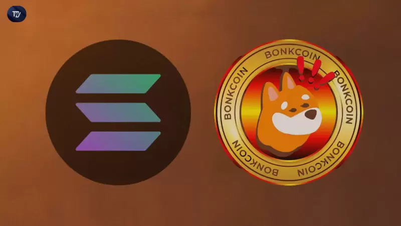 Defi Development Corp. Bonkとパートナーで共同バリデーターノードを操作する Defi Development Corp. Bonkとパートナーで共同バリデーターノードを操作する