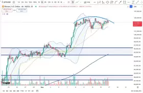 Cheds Trading
