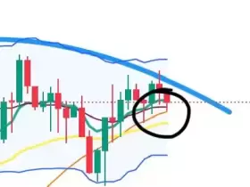 Cheds Trading