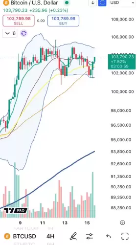 Cheds Trading