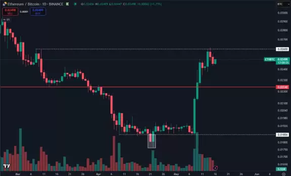 Daan Crypto Trades