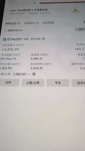 比特肥 || Bitfatty (🍀,🍀)