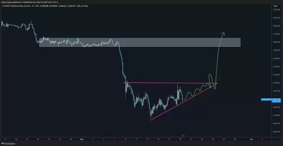 Trader Koala