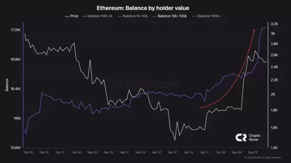 Crypto Rover