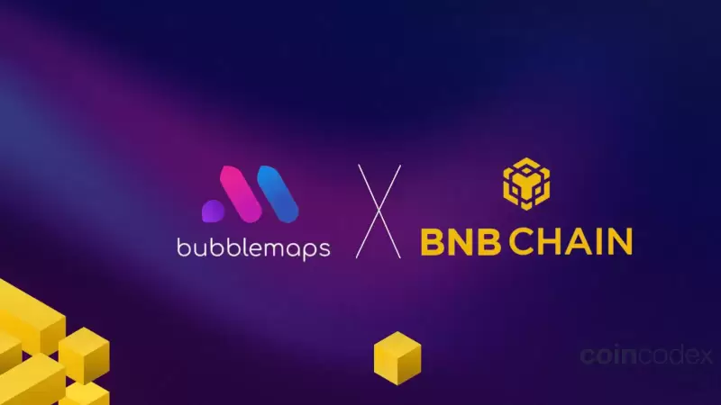 BNB Chain Becomes the Latest Addition to Bubblemaps' Visualization Platform BNB Chain Becomes the Latest Addition to Bubblemaps' Visualization Platform