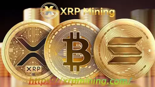 XRP Mining (2025) The Most Trusted Bitcoin Cloud Mining Platform XRP Mining (2025) The Most Trusted Bitcoin Cloud Mining Platform