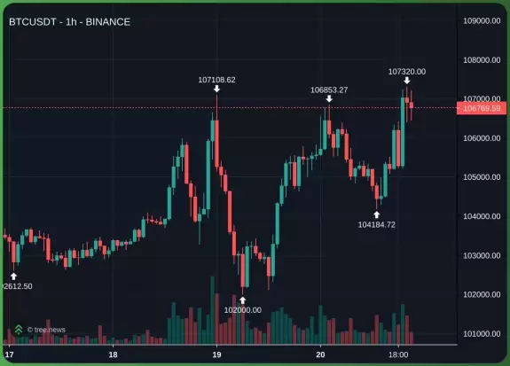 Castillo Trading