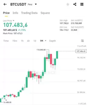 BitBull