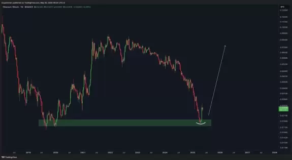 Crypto Rover