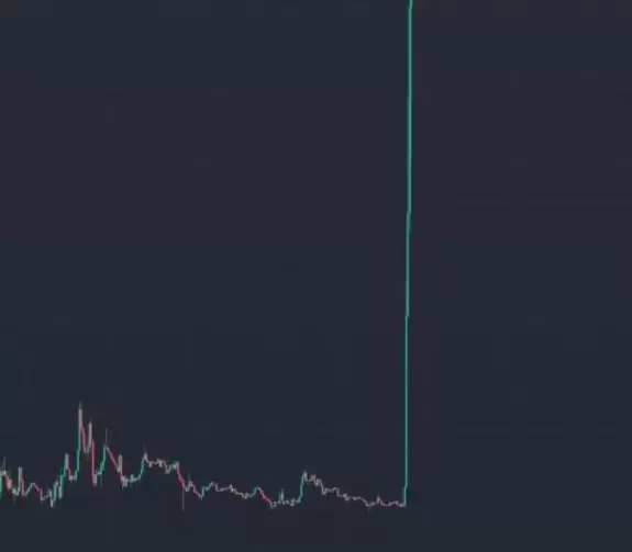 Whale.Guru