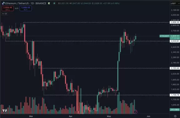 Daan Crypto Trades