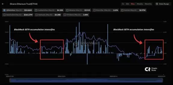 Crypto Rover