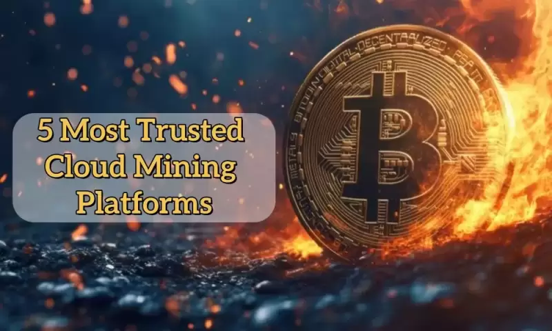 The 5 Best Bitcoin Cloud Mining Platforms in 2025 (Updated)
