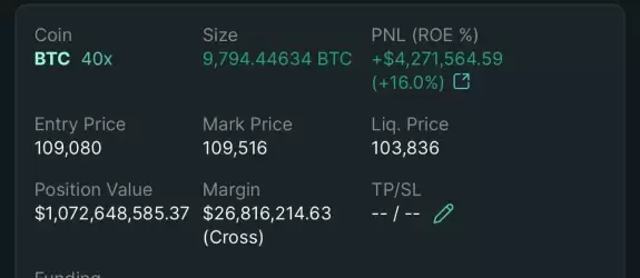 Don't follow Shardi B if you hate Money