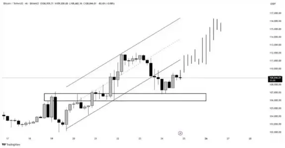 Crypto Beast 