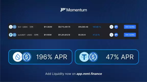 Momentum