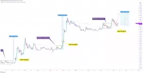 CRYPTOWZRD