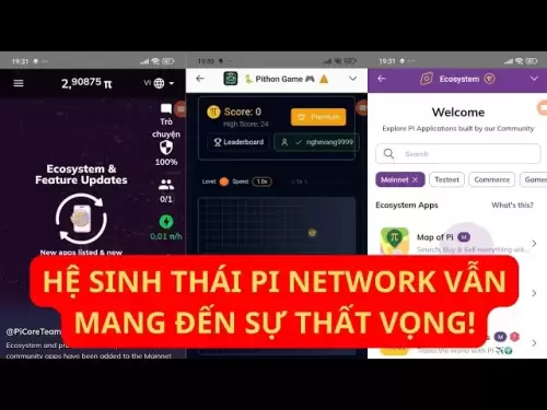 PI -Netzwerk -Ökosystem ist immer noch enttäuschend | Pi Coin hatte keinen realistischen Schritt