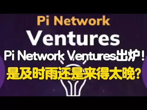Pi Network Ventures出炉！是及时雨还是来得太晚？