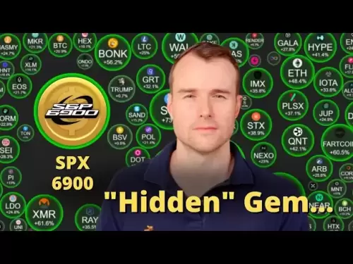 Ne soyez pas stupide avec SPX6900 ⚠ SPX 6900 Crypto Token Analysis